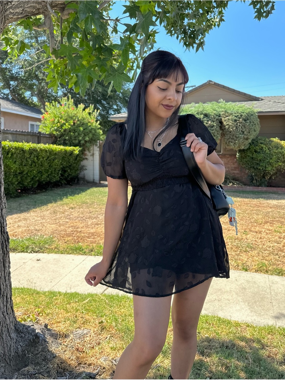 Lily Rose Black Lace Skater Dress